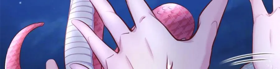 494 第3页