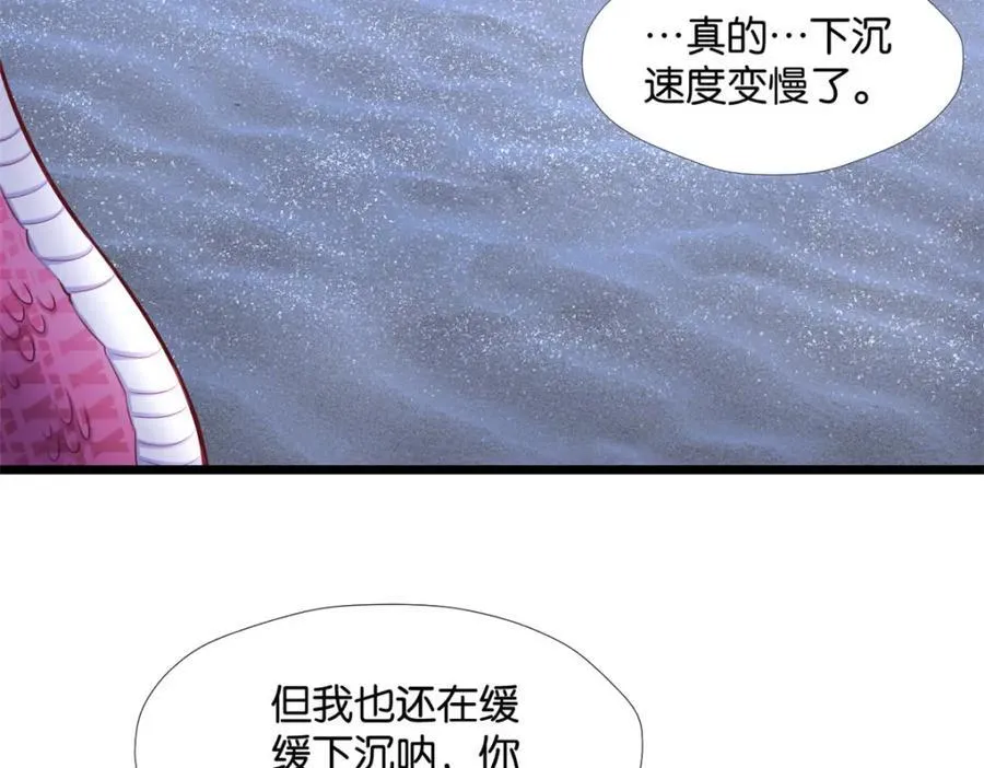 494 第16页