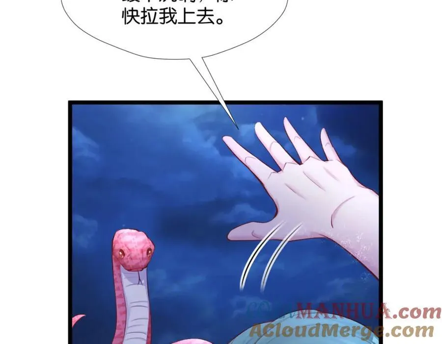 494 第17页