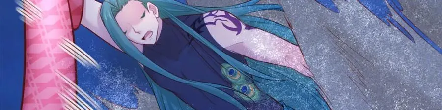 494 第24页