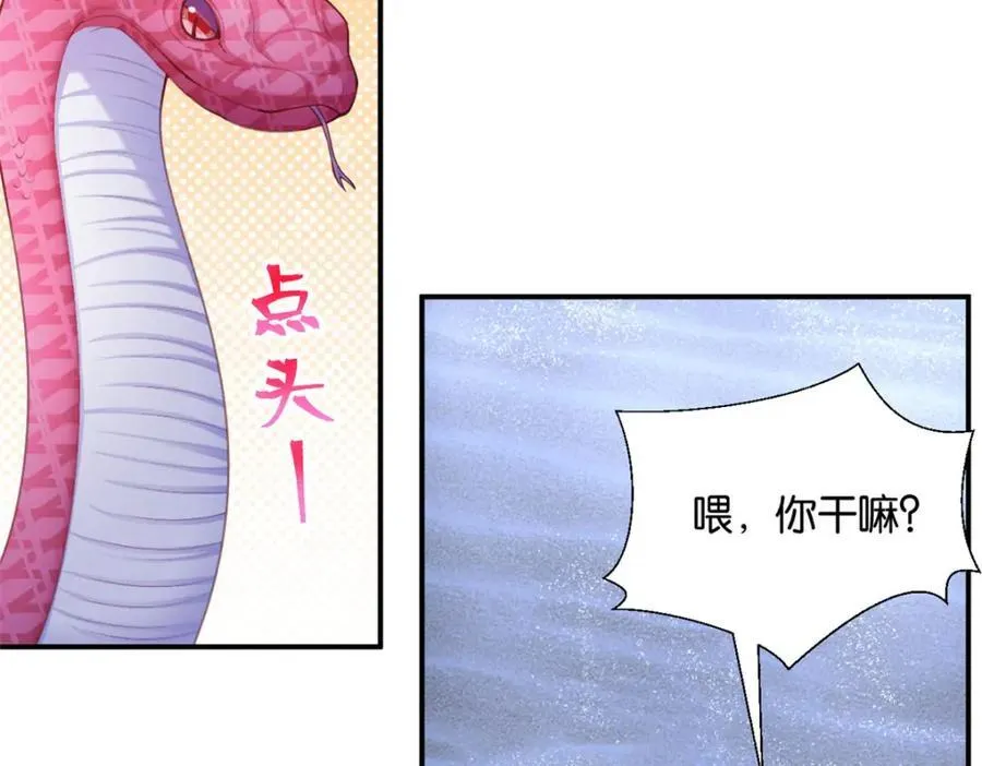 494 第79页
