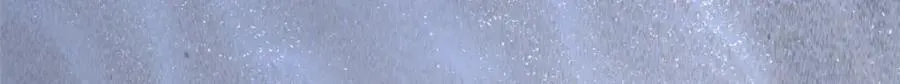 494 第99页