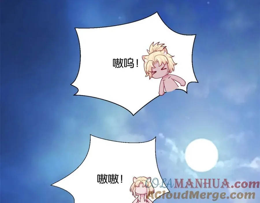 494 第137页