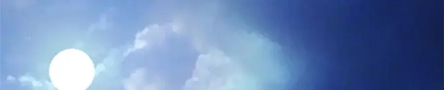 495 第6页