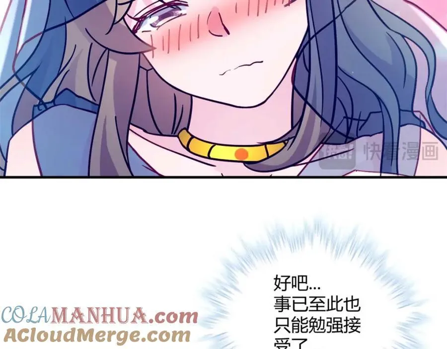 497 第25页