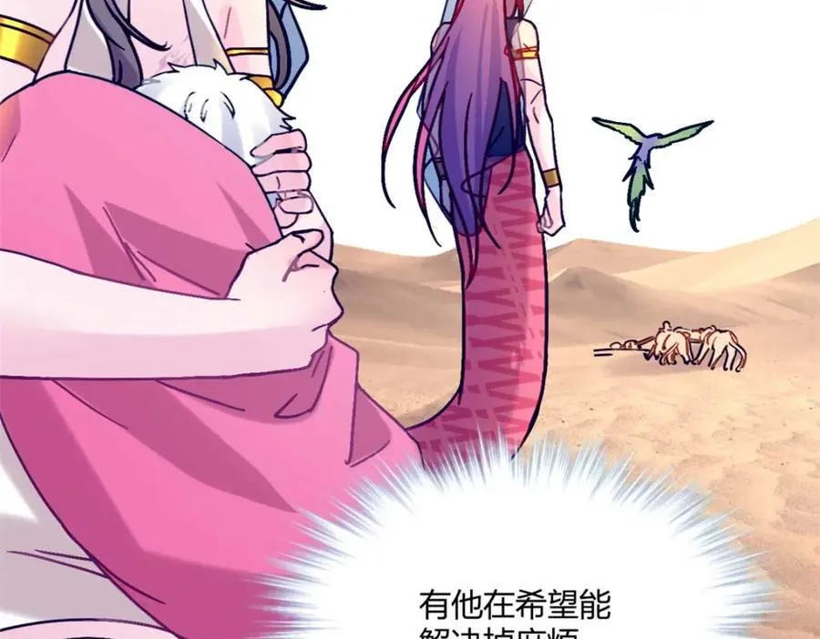 497 第146页