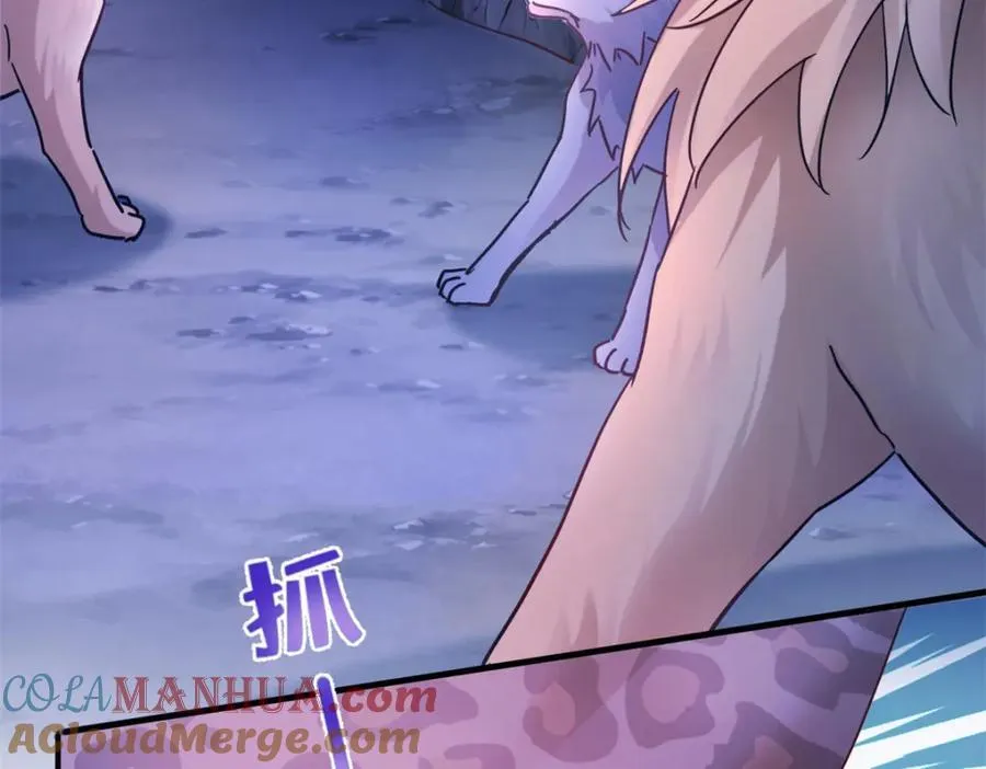 501 第37页