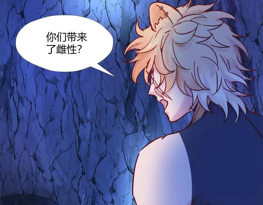 501 第52页