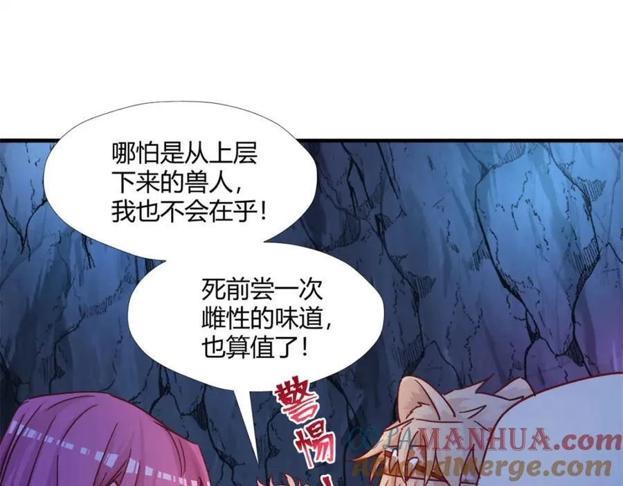 501 第73页