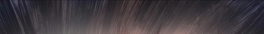 502 第112页