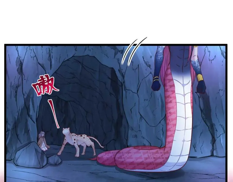 504 第55页