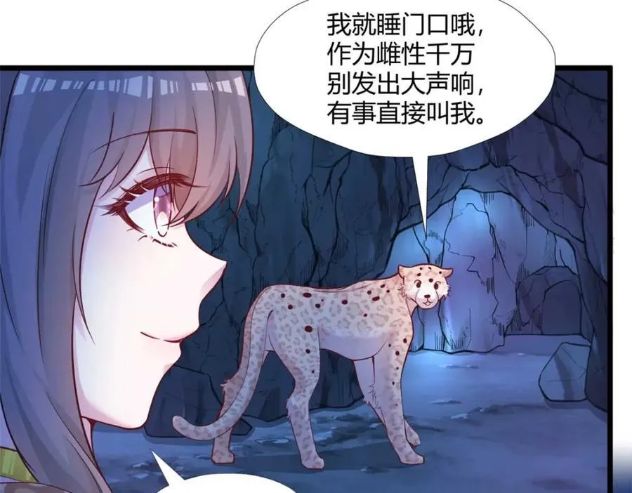 504 第62页