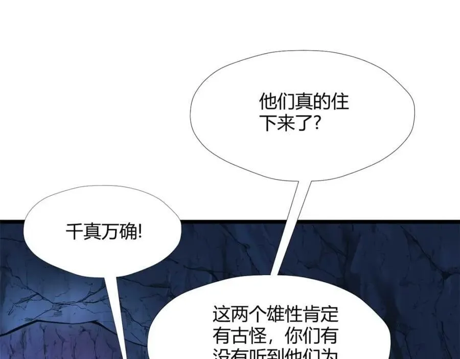 504 第79页