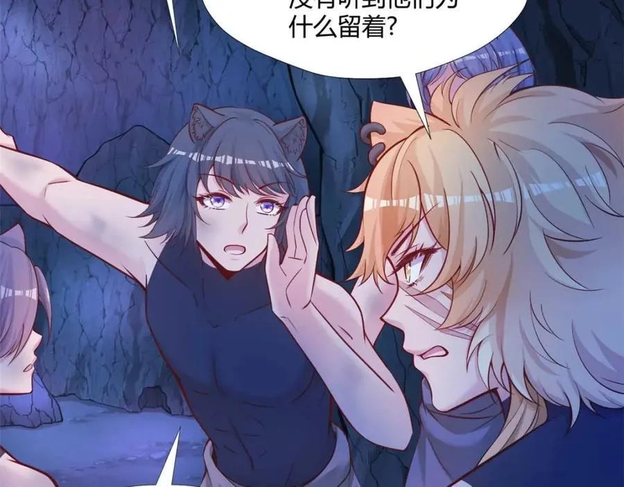 504 第80页