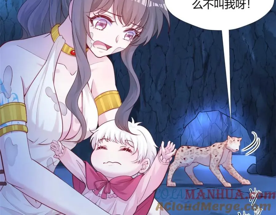 504 第113页