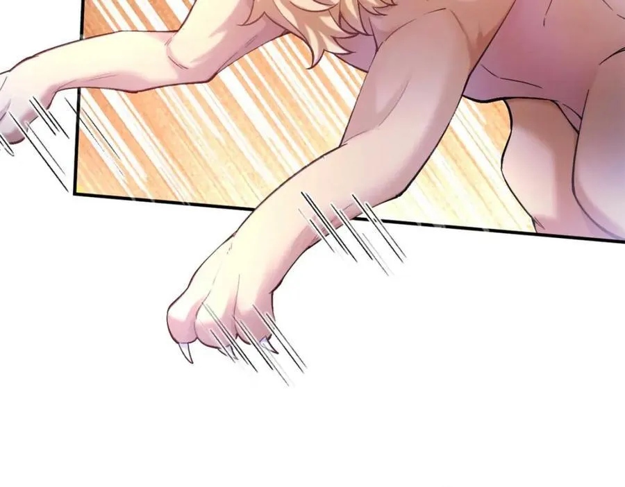 505 第46页