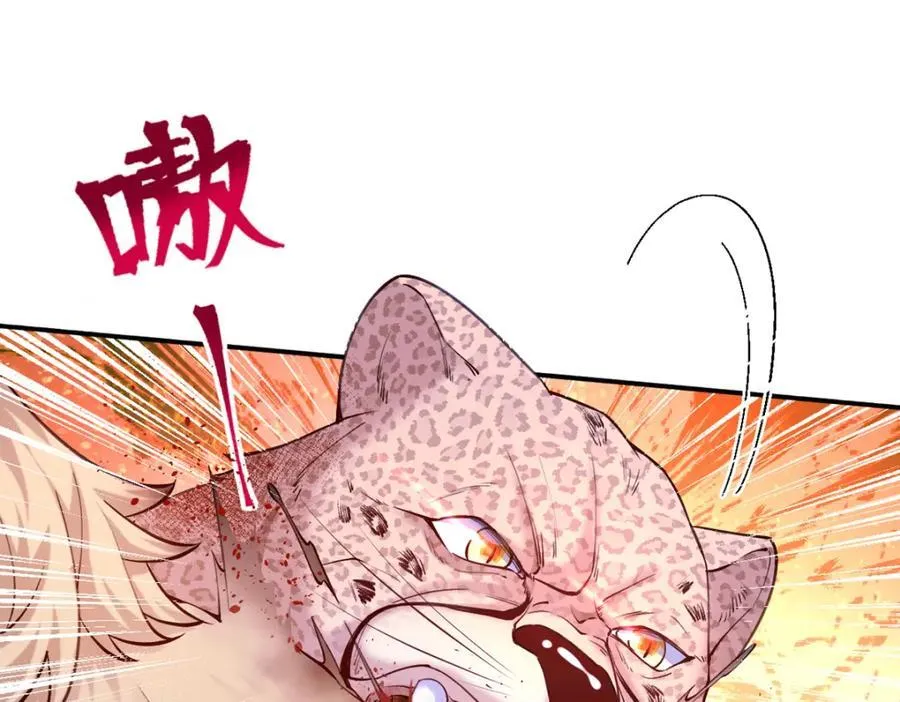505 第55页