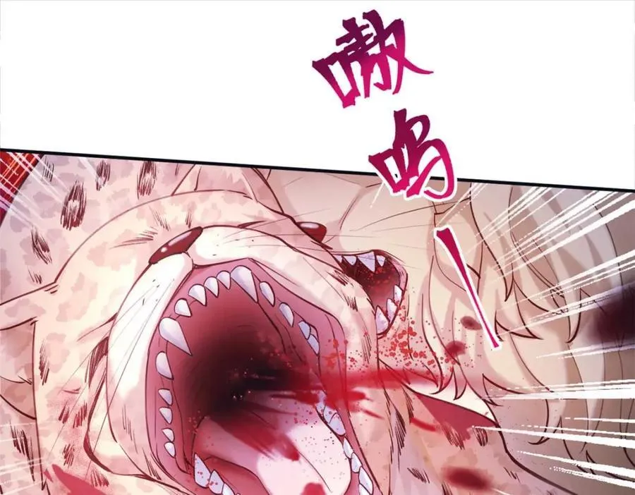 505 第106页