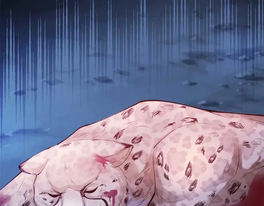 505 第118页