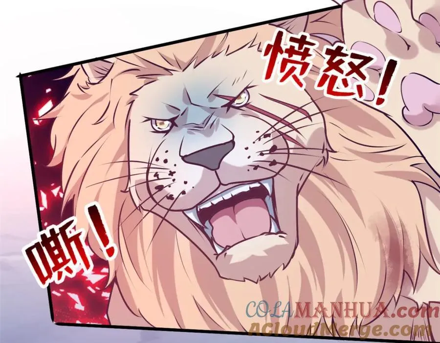 506 第13页