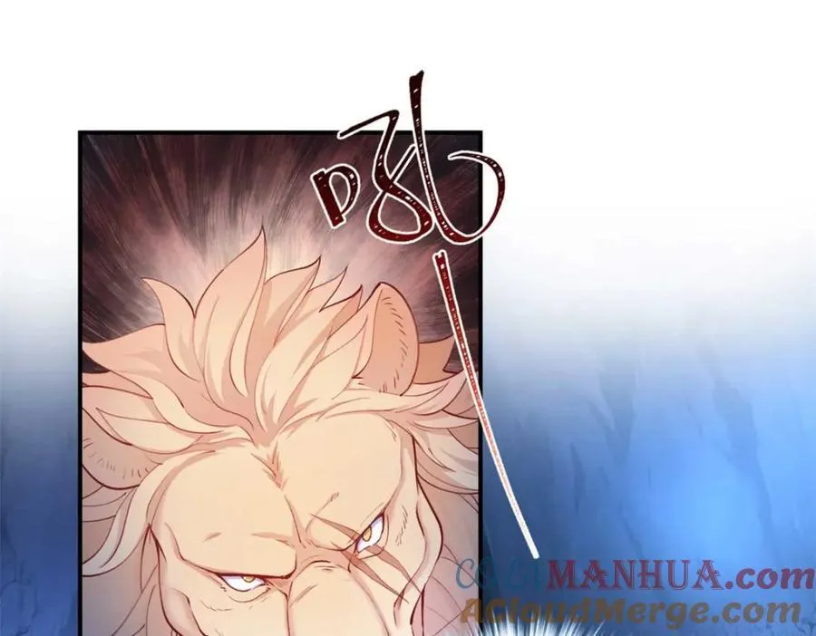 507 第25页