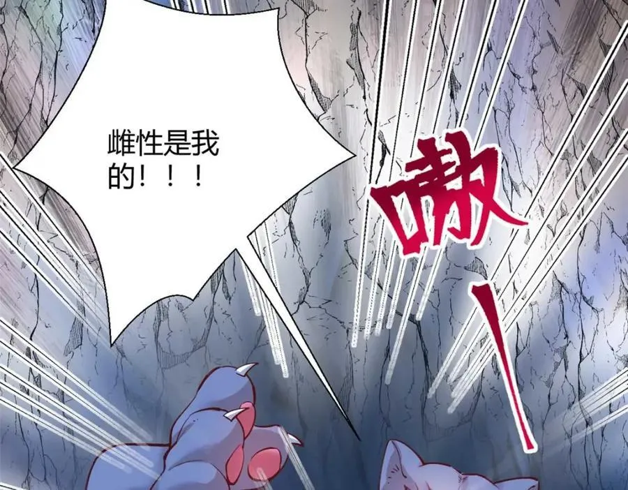 507 第80页
