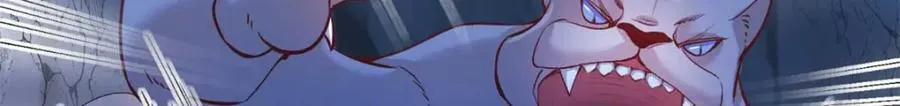 507 第81页