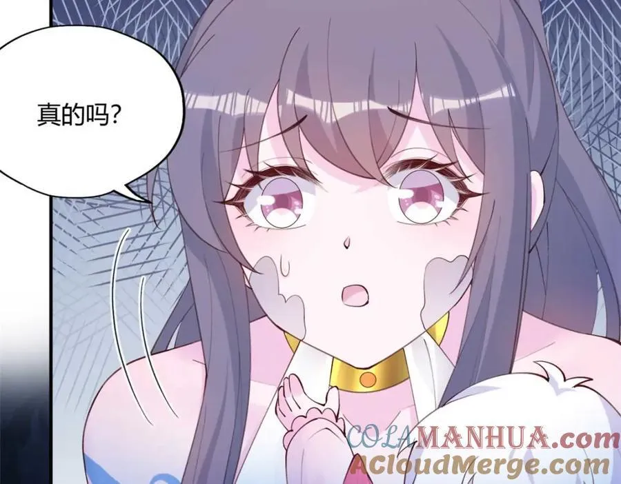 508 第41页