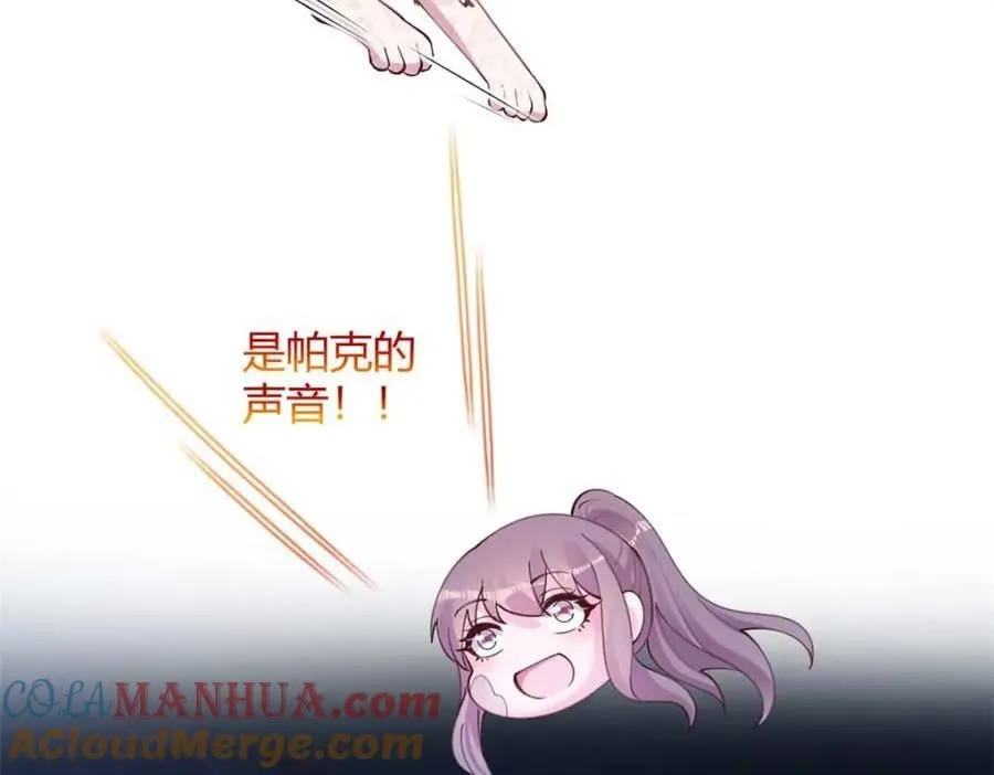 508 第113页