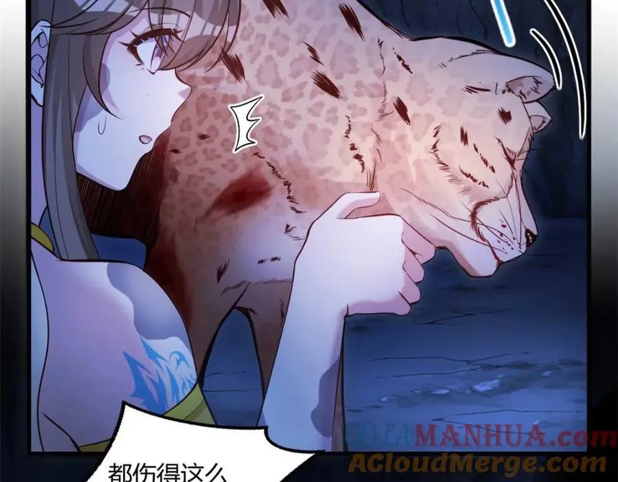 509 第5页