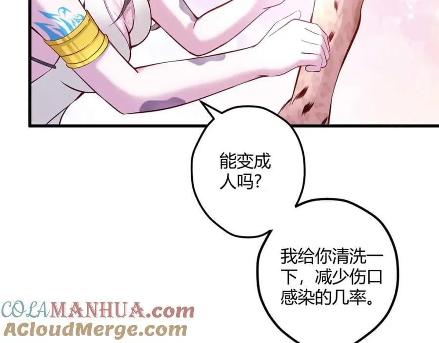 509 第13页