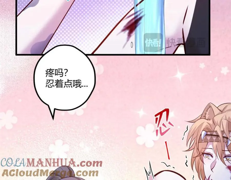 509 第17页