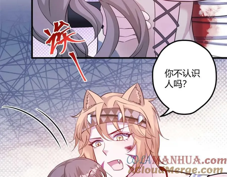 509 第41页