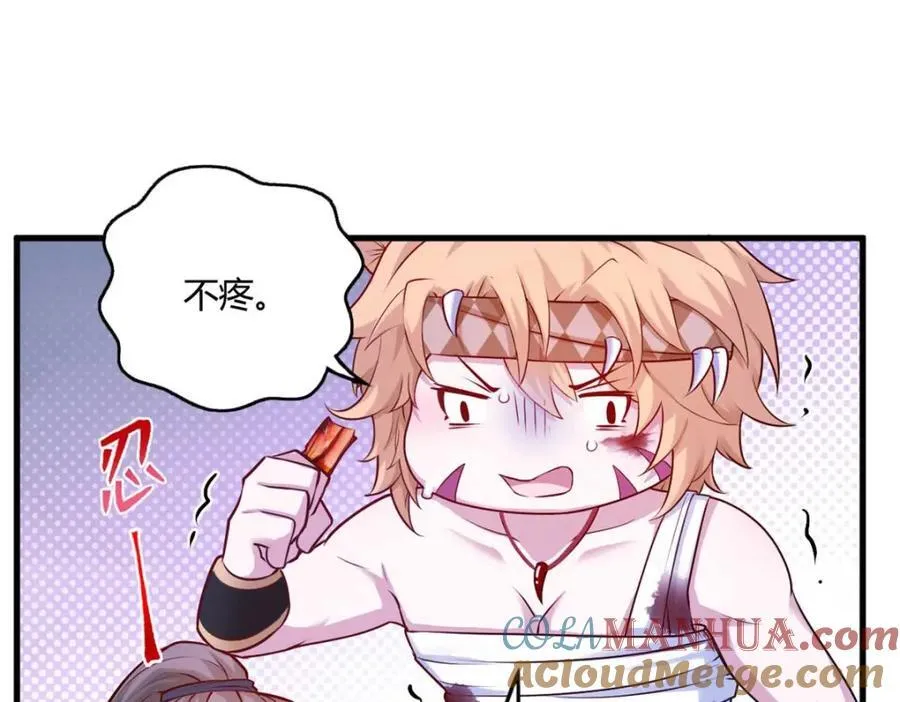 509 第73页