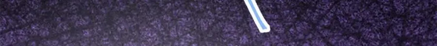509 第117页