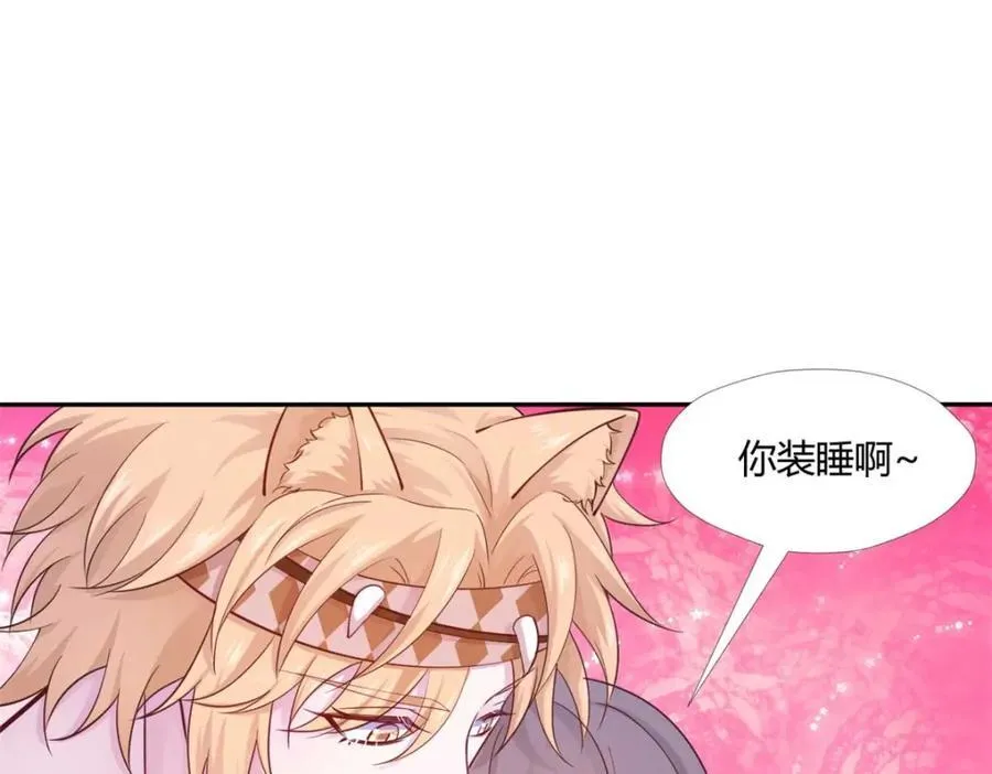 511 第8页