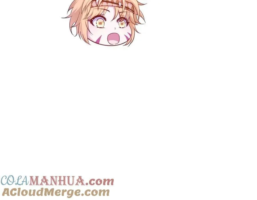 511 第13页