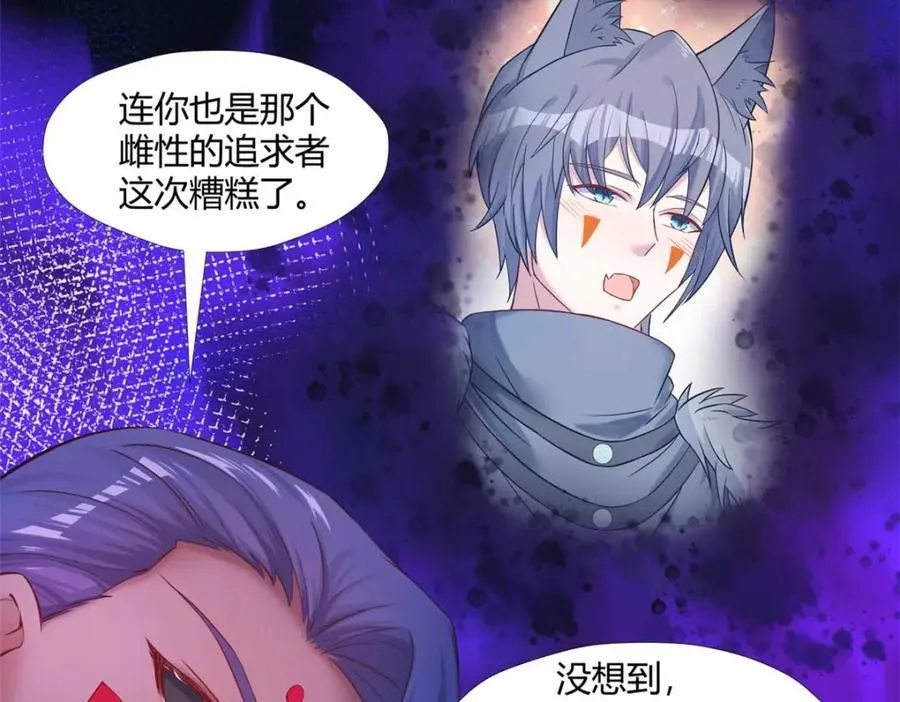511 第20页