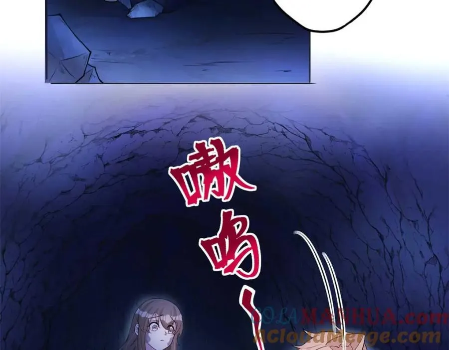 511 第85页