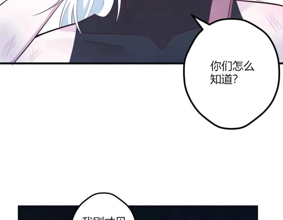 512 第43页
