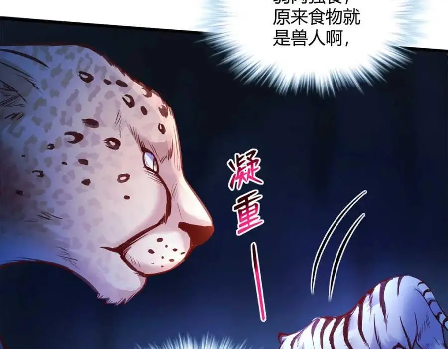 513 第26页