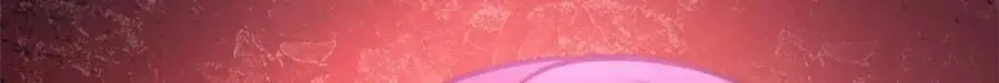 513 第126页