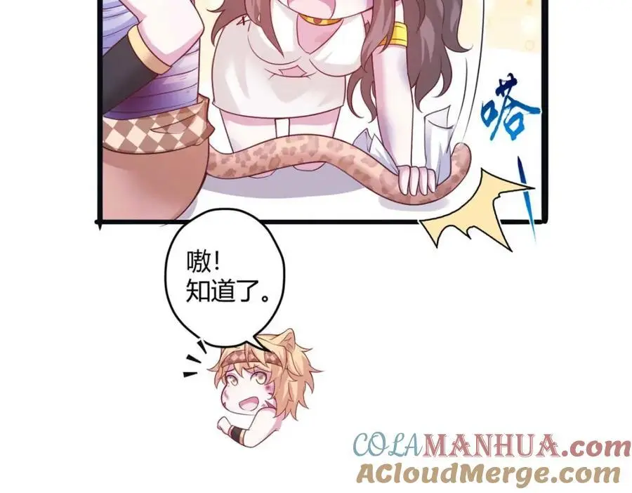 517 第13页