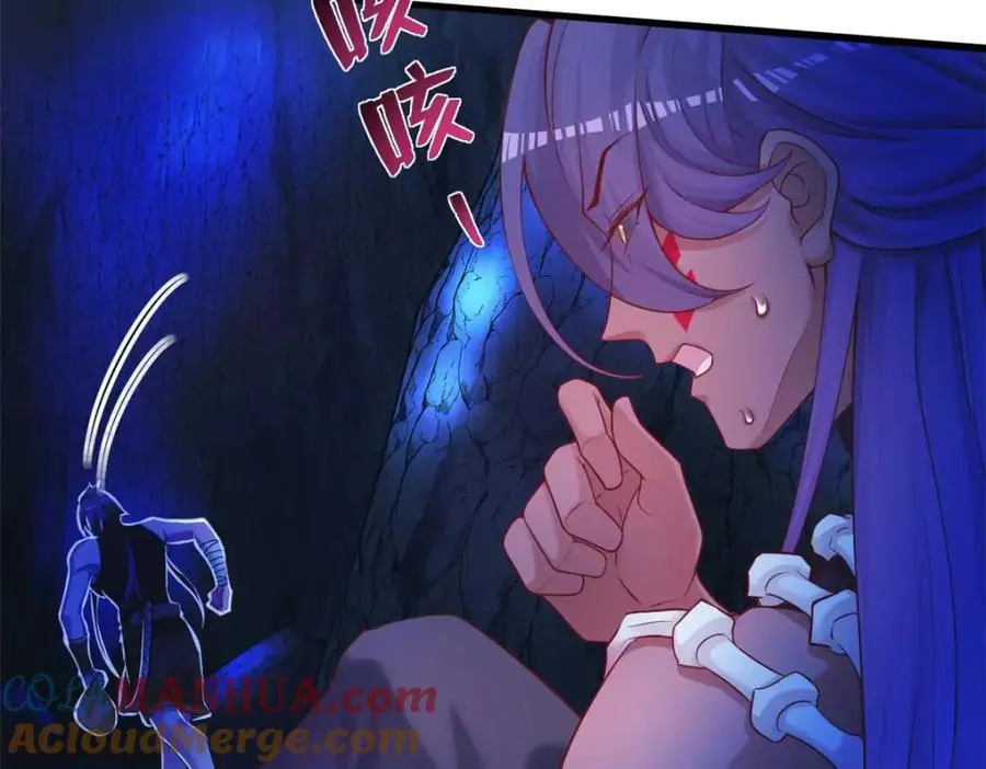 517 第65页