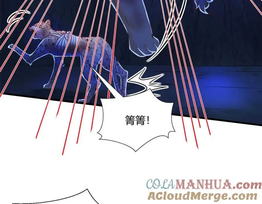 519 第17页