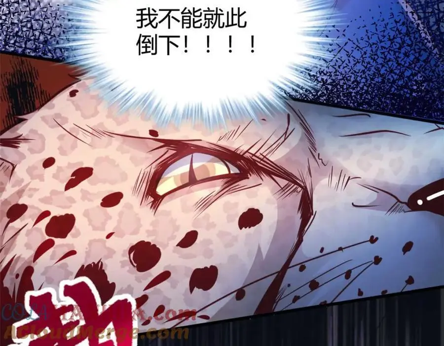 519 第41页