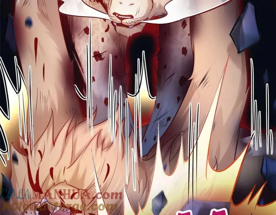 519 第49页