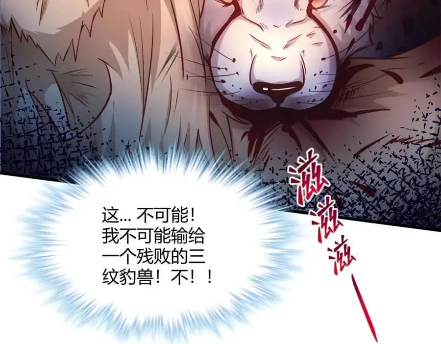 519 第56页