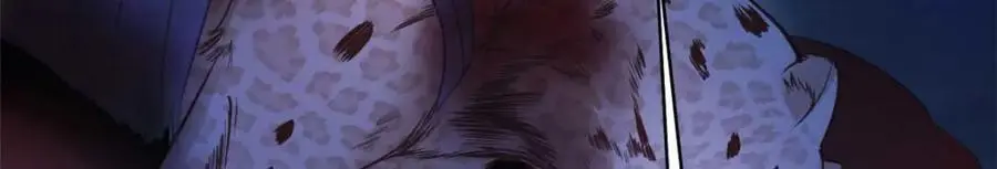 519 第75页