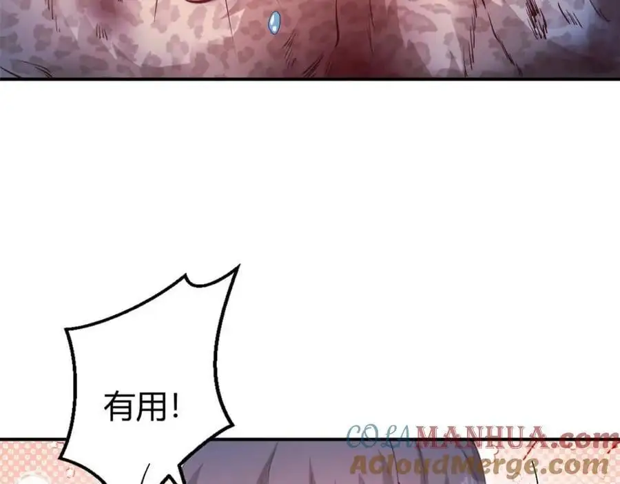 520 第65页